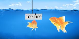 42 trucchi per raggiungere la grandezza nella supply chain