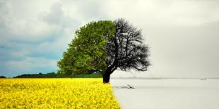 Seasonality illustrated