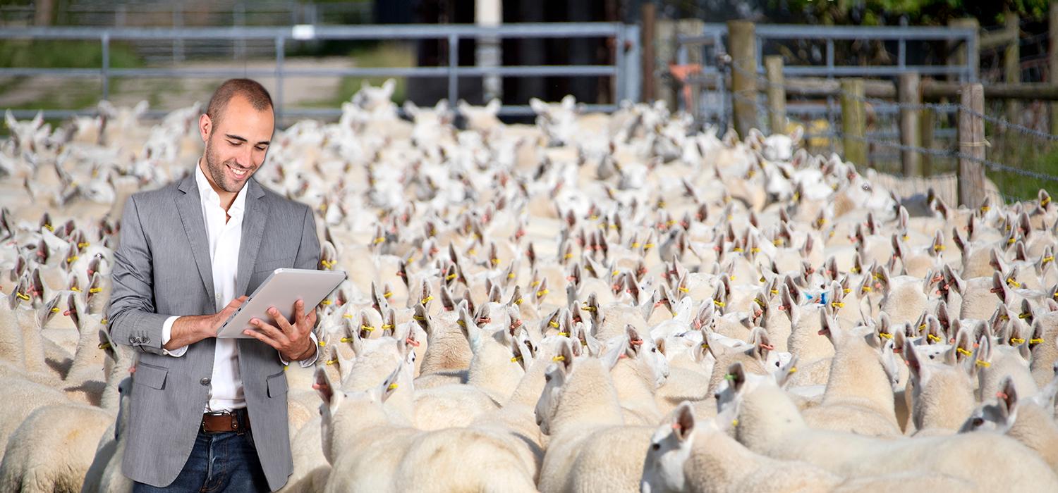 Combien de SKUs un planificateur de la demande doit-il gérer?