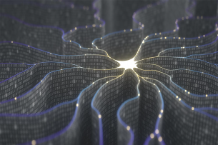 Envision Documentation